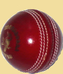 cricket_ball_test